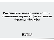 Российские полярники нашли столетние зерна кофе на земле Франца-Иосифа