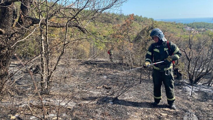 Лесной пожар в Геленджике потушен