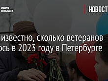 Стало известно, сколько ветеранов осталось в 2023 году в Петербурге
