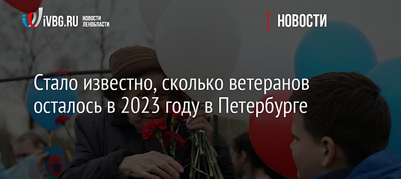 Стало известно, сколько ветеранов осталось в 2023 году в Петербурге