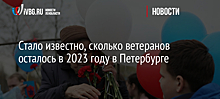 Стало известно, сколько ветеранов осталось в 2023 году в Петербурге