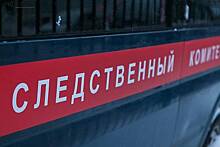 Руководство компании "Нижегородец" объявлено в розыск по делу о неуплате налогов