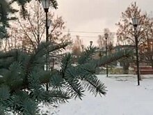 Снежное утро в Дрожжаном и День экономиста: новые посты глав районов Татарстана в "Инстаграме" 11 ноября