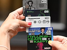 В Госдуме предложили расширить возрастные рамки участников программы «Пушкинская карта»