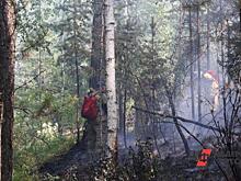 В Югре заработал онлайн-мониторинг ситуации с лесными пожарами