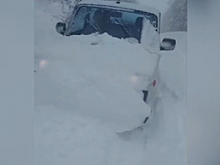 В Амурской области полицейские нашли пропавшего в тайге мужчину и спасли его