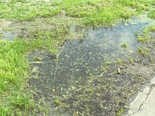 Пензенец пожаловался на запах канализации у Безымянного ручья