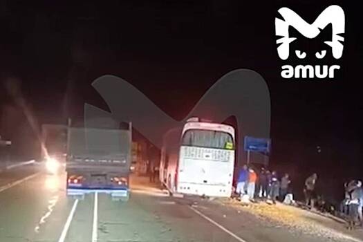 Автобус с туристами из Китая врезался в зерновоз в России