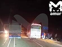 Автобус с туристами из Китая врезался в зерновоз в России