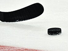 Хоккейный судья спрятал брошенный на лёд надувной мяч под свитер