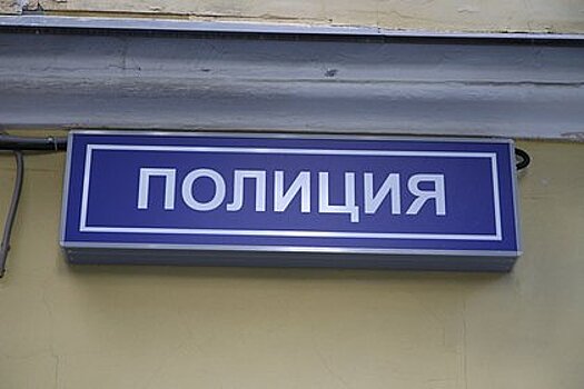 В Москве пятилетняя дочь бывшего военного из США заявила об избиении в семье