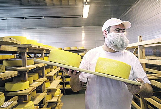 Эксперты дали прогноз по развитию производства сыров на юге России
