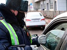 Названы основные нарушители пропускного режима в России