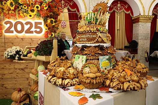 На Кубани объявили итоги жатвы: край собрал 11,3 миллиона тонн зерна