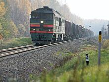 LDz завершила 2021 год с прибылью, но объем грузоперевозок снизился