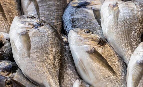 Самую популярную рыбу кулинарных шоу разводят в аквакультуре Тамбовской области