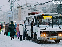 Горожанам поможет муниципальный транспорт