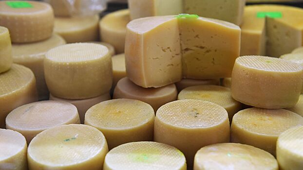 Диетолог рассказала, какие сыры не стоит есть на ночь