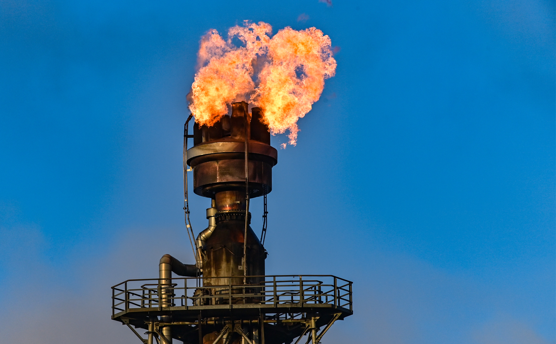 Поставки нефти по «Дружбе» в Европу сократились втрое в феврале
