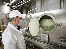 От лаборатории к заводу: как Ставрополье стало пионером российского производства лактулозы