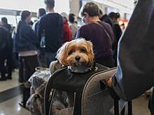 Сотни пассажиров застряли в российском аэропорту