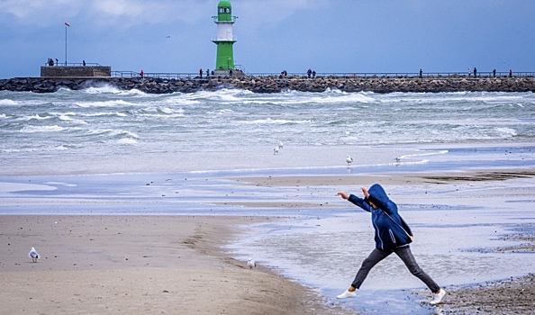 Чужеродный вид организмов обнаружили в Балтийском море