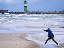 Чужеродный вид организмов обнаружили в Балтийском море