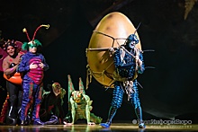 Cirque du Soleil выступил с новым шоу OVO в Екатеринбурге