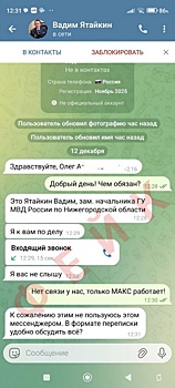 Фейковый аккаунт начальника нижегородской полиции появился в Сети