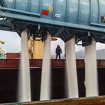 Россия продолжает экспорт в Бразилию