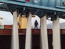 Россия продолжает экспорт в Бразилию