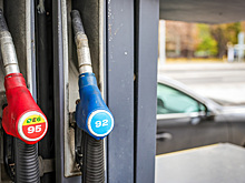 Стало известно, как изменились цены на бензин с начала ноября