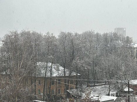 Первый снег выпал в Нижнем Новгороде 15 ноября: публикуем фото