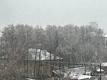 Первый снег выпал в Нижнем Новгороде 15 ноября: публикуем фото