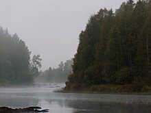 Река Суойоки: река, которая течет вспять