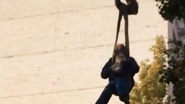 Житель Воронежа спас кота с помощью автокрана