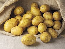 Цены на картофель резко вырастут в ноябре