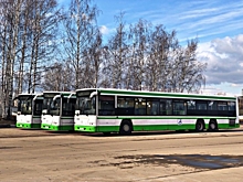 Ярославские фирмы увидели дискриминацию в конкурсах на перевозки пассажиров