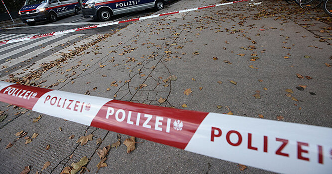 Kayhan (Иран): ИГ* «черной неблагодарностью» платит Европе за покровительство в Сирии — пришел черед Австрии