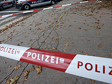 Kayhan (Иран): ИГ* «черной неблагодарностью» платит Европе за покровительство в Сирии — пришел черед Австрии