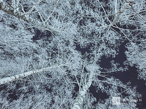 Мокеева рассказала, когда ждать 33-градусных морозов в Нижегородской области