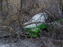 Как в Артеме устраняют последствия непогоды