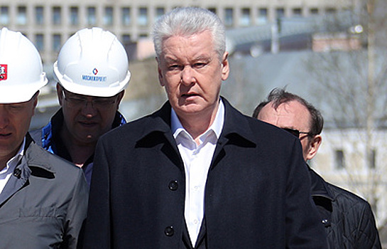 Собянин поддержал идею общественного контроля проекта реновации
