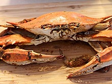 В России резко подорожали продаваемые за рубеж крабы