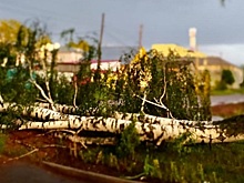 Ураган в Можге повалил деревья и снес профнастил у школы