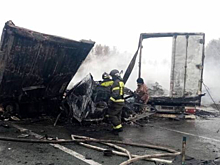 Крупная авария с тремя грузовиками оборвала жизнь водителя