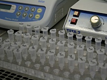 Процент свердловчан с антителами к COVID-19 скромен