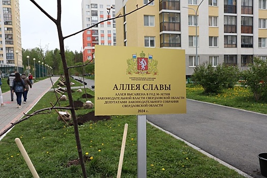 В Академическом появилась своя Аллея Славы
