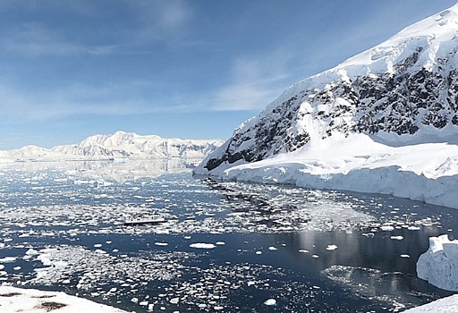 К 2100 году кислотность антарктических вод может вырасти на 104%