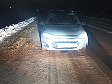 Пешеход погиб под колесами автомобиля на трассе в Новосибирской области